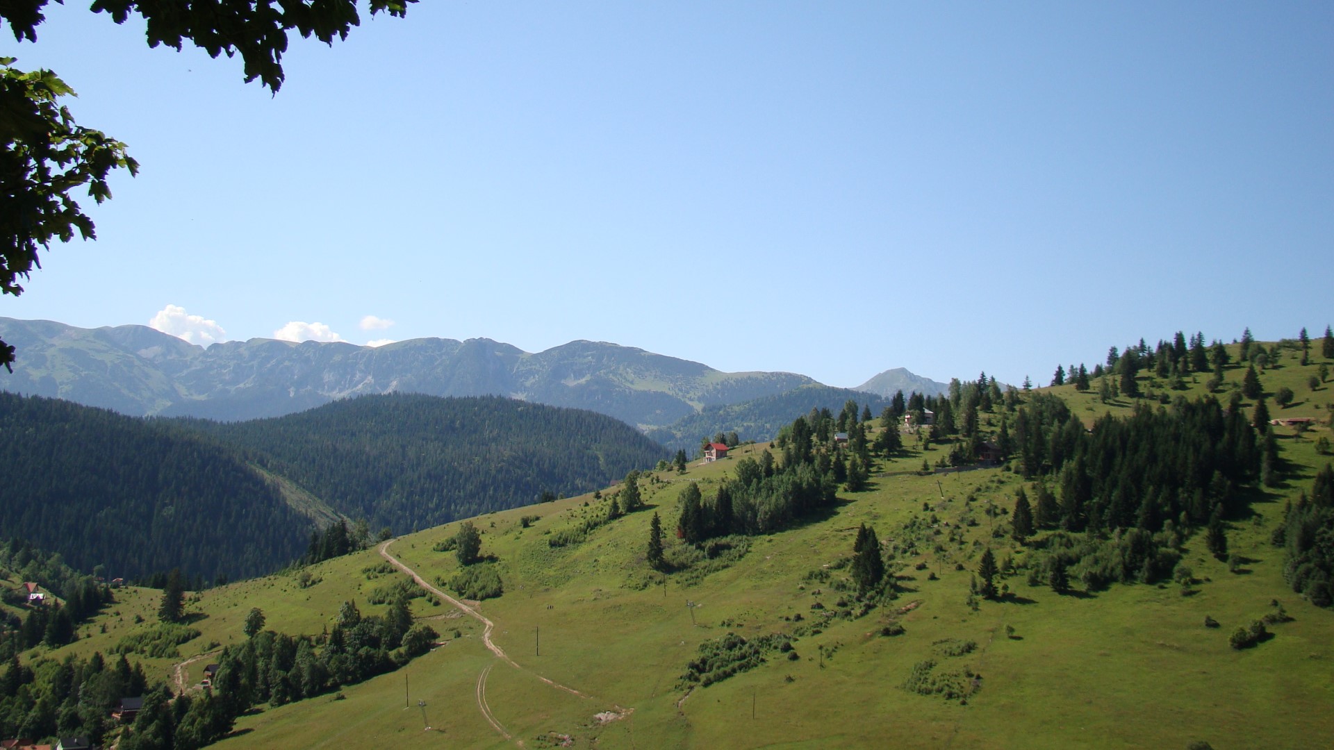 Natyra Alpine në Bogë 