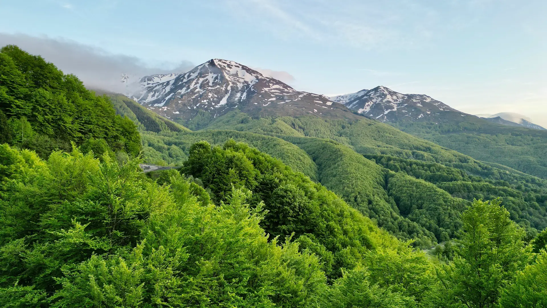 Bora dhe gjelbërimi në Prevallë