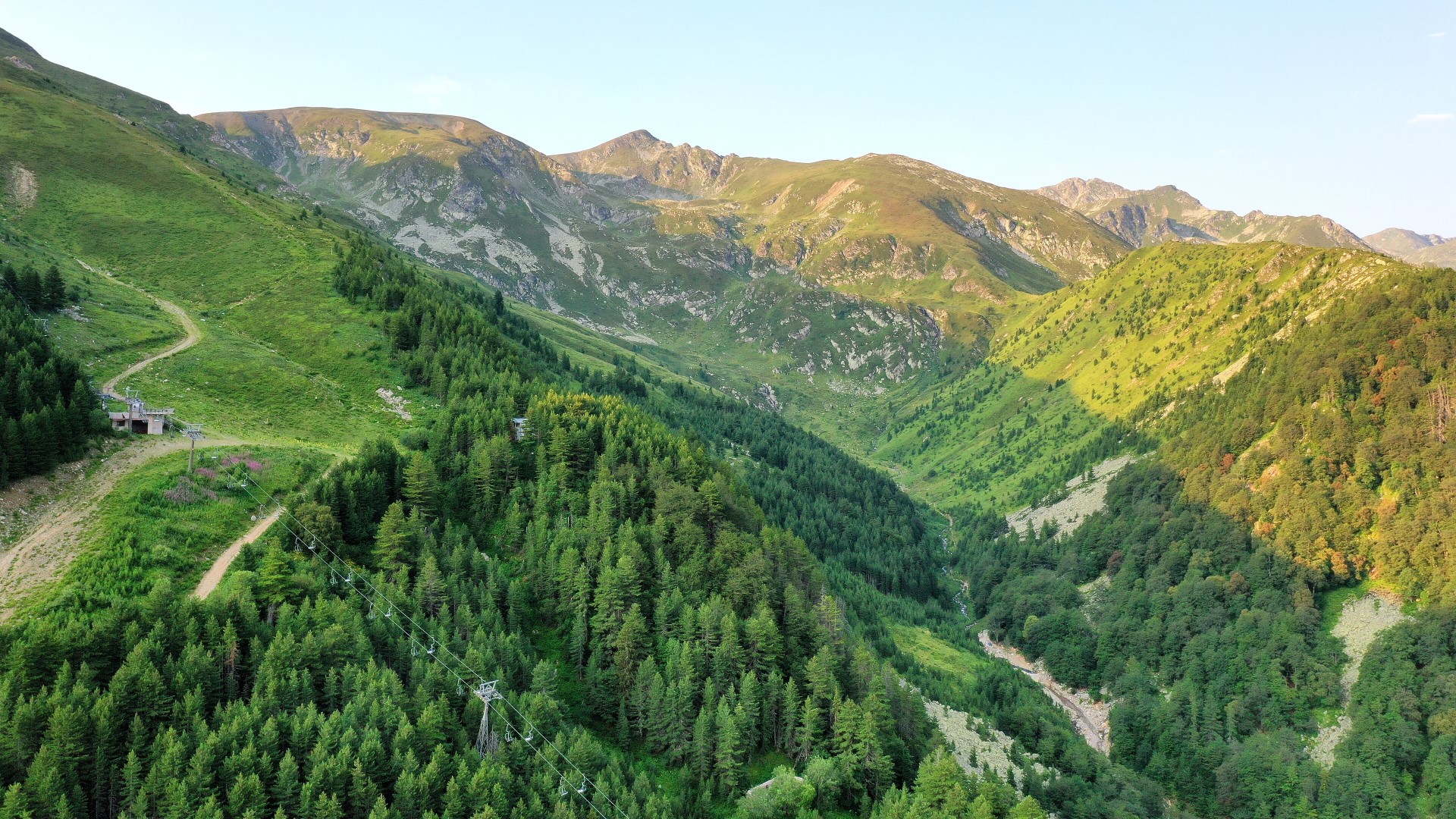 Brezovica natyra