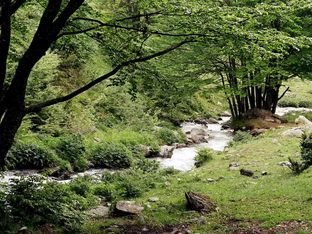 Burimi uji i Lumit të Prevallës