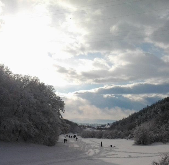 Parku i Gërmisë dimër