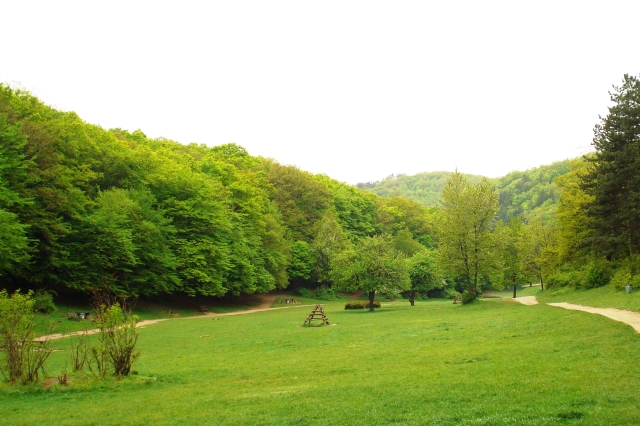 Parku i Gërmisë në Prishtinë