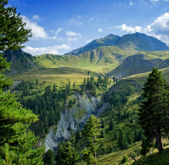 Kodrat e Gjeravicës Kosova