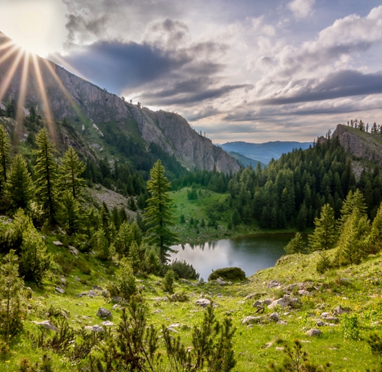 Gjeravica një mrekulli natyrore