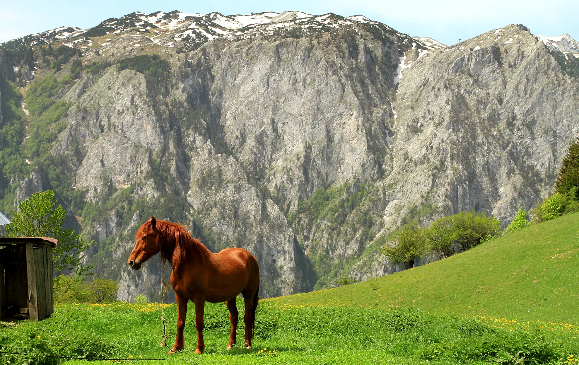 Gryka e Rugovës Kodra Kali