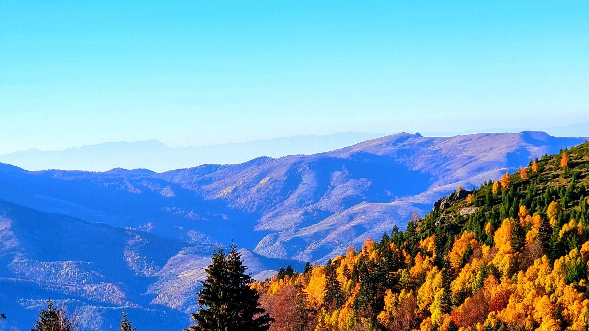 Maleve të Sharrit Brezovica 