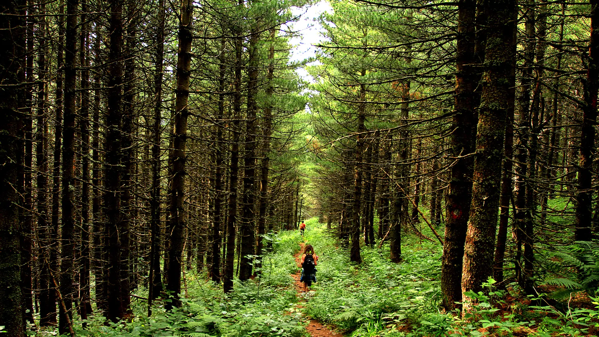 Hiking në Malet e Sharrit në Kosovë