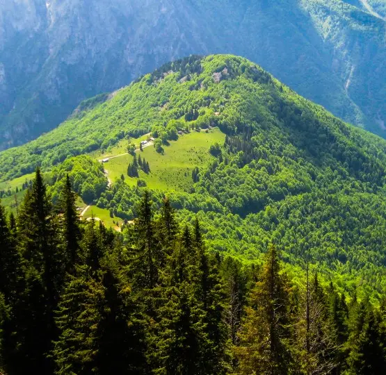 Kodra ne Rugovë