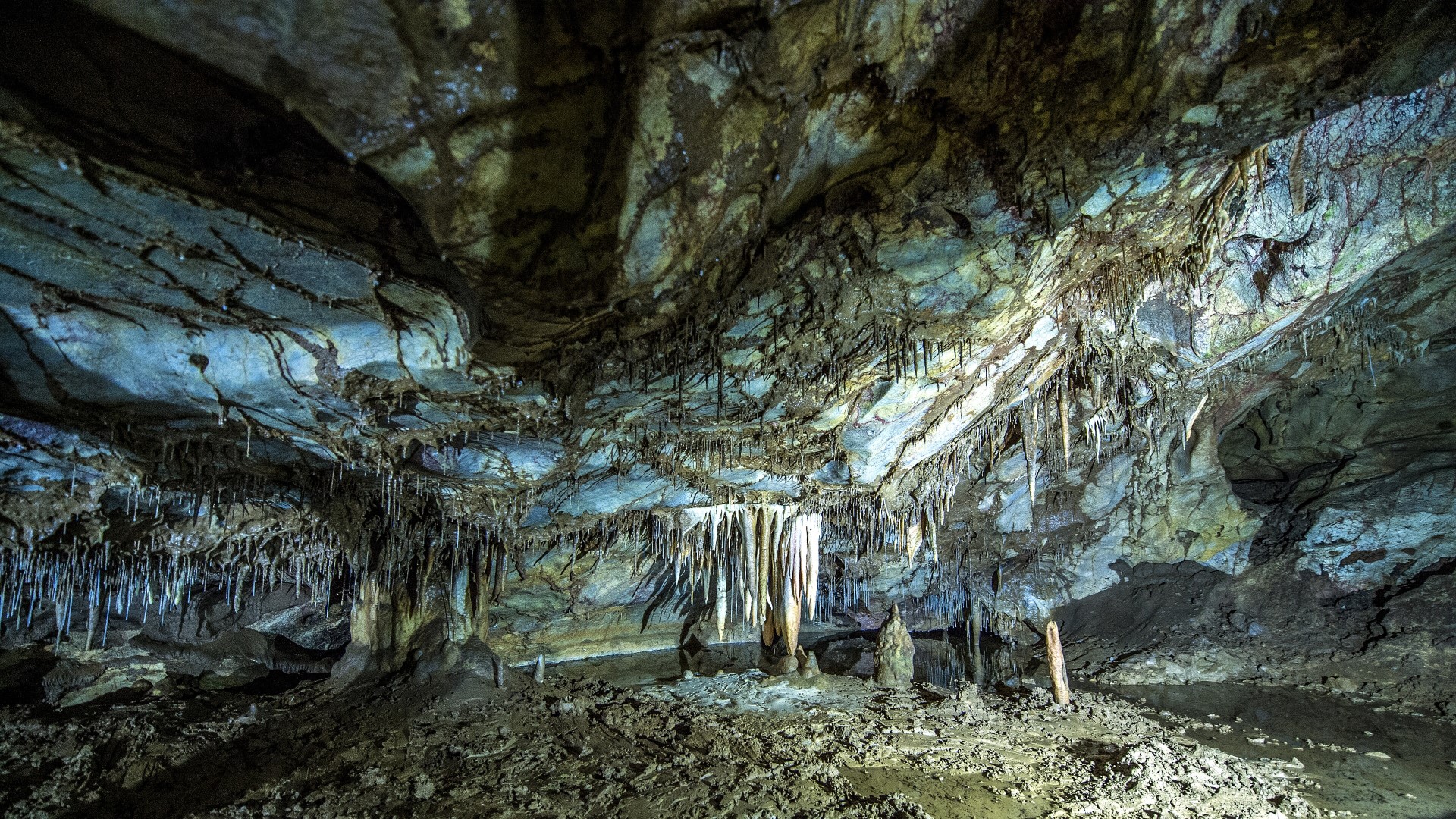 Shpellën në Gadime të veçantë janë stalaktitet dhe stalagmitet