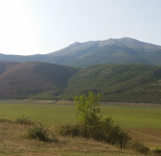 Vermica liqeni pa uje